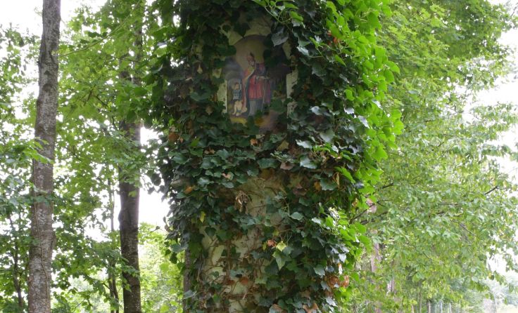 Die Wolfgangsäule steht auch am Programm bei der Roas. Foto: Franz Obernberger