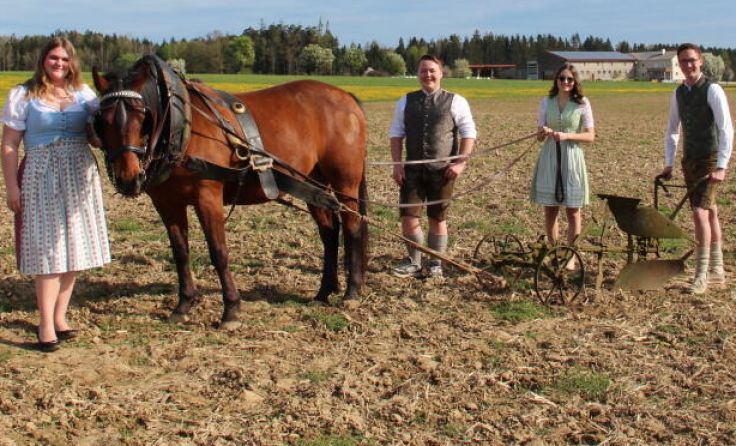 Am 28. Juli veranstaltet die Landjugend Wolfern das jährliche Bezirkspflügen. (Foto: LJ Wolfern)