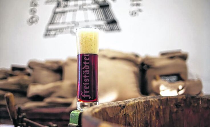 Dunkle und kräftige Biere schmecken hervorragend zu Wild und Käse. Foto: Weihbold
