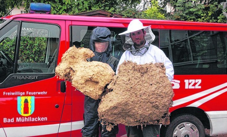 Foto: FF Bad Mühllacken