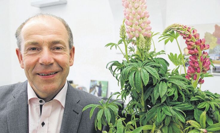  Max Hiegelsberger und Lupinen. Foto: Land OÖ/Prietzel