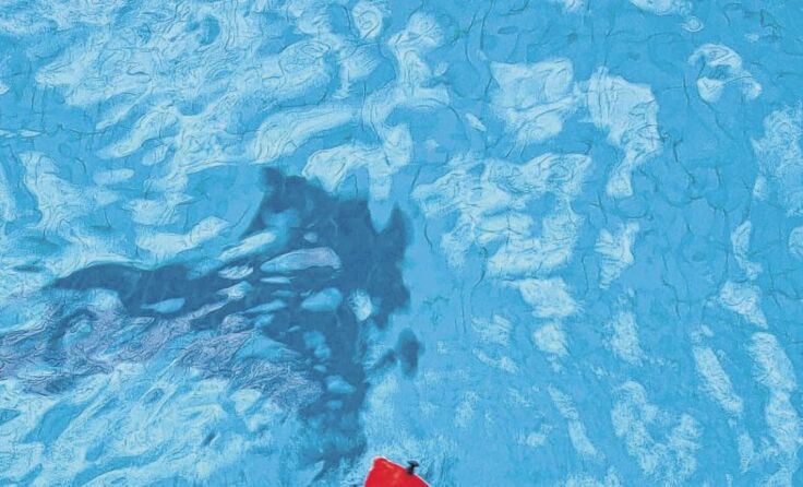 Kinder sollten niemals ohne Aufsicht schwimmen gehen. Foto: Wodicka