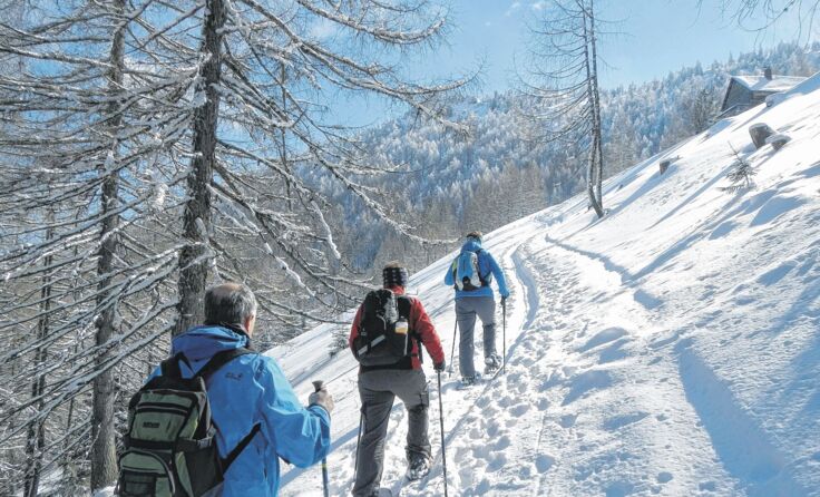 Mit den Schneeschuhen die Schönheiten des Winters erleben. Foto: Herbert Schöttl