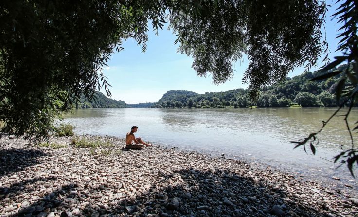 Die Donau – hier bei Puchenau – hat viel zu bieten. Foto: Weihbold 
