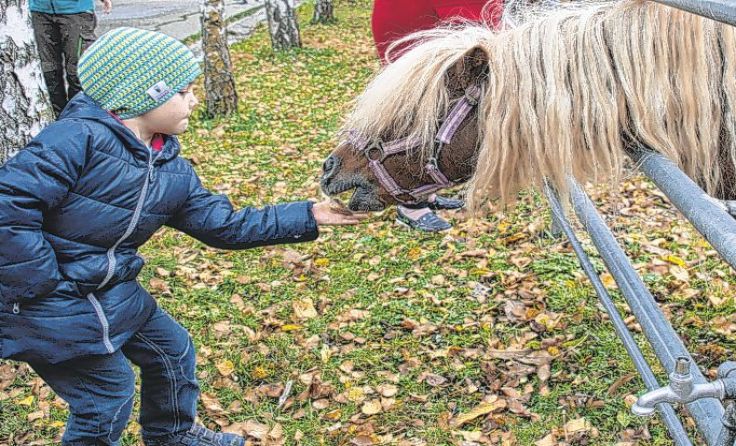 Kinder mögen Tiere. Foto: Tiergarten Walding