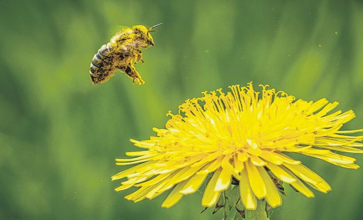  Foto: Freudenthaler
