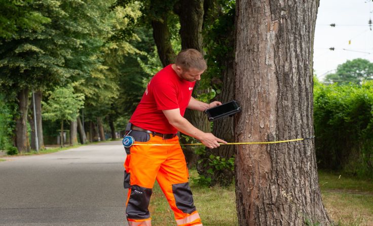 Bis jetzt wurden etwa 23.000 Bäume kontrolliert. Foto: ÖBf-Archiv/W. Voglhuber