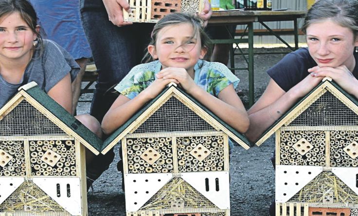 Kleine Kunstwerke – die von den Kindern gebauten Insektenhotels. Foto: Robert Standhartinger