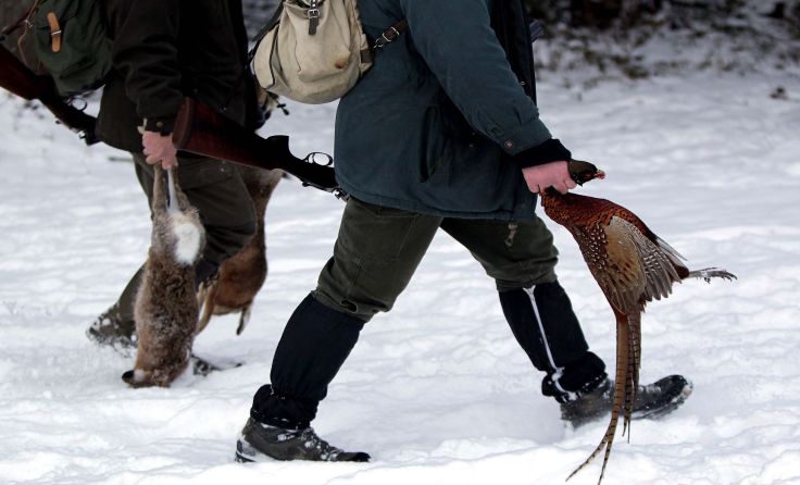 Die Jagd erfüllt vielfältige Aufgaben. Foto: Weihbold