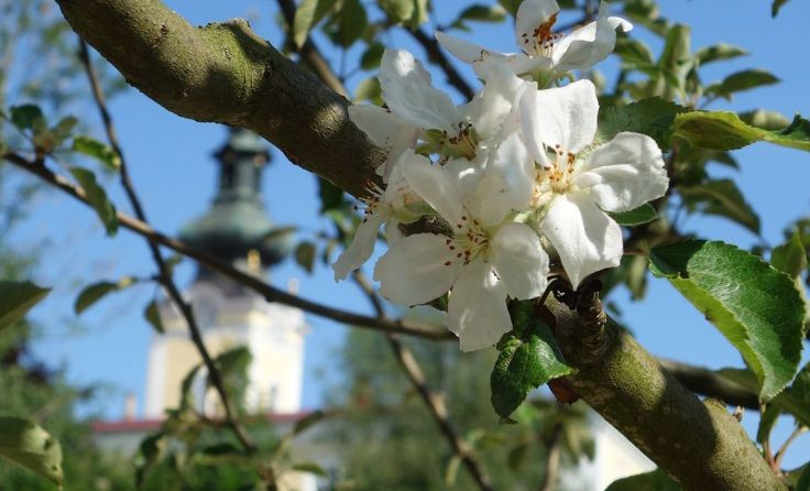 Foto: Köck