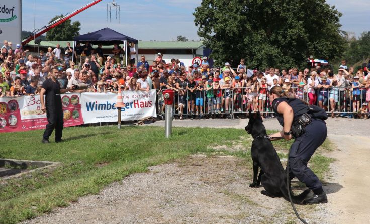 Die Einsatzhunde der Polizei begeisterten die Besucher. Fotos: Gregor Finster