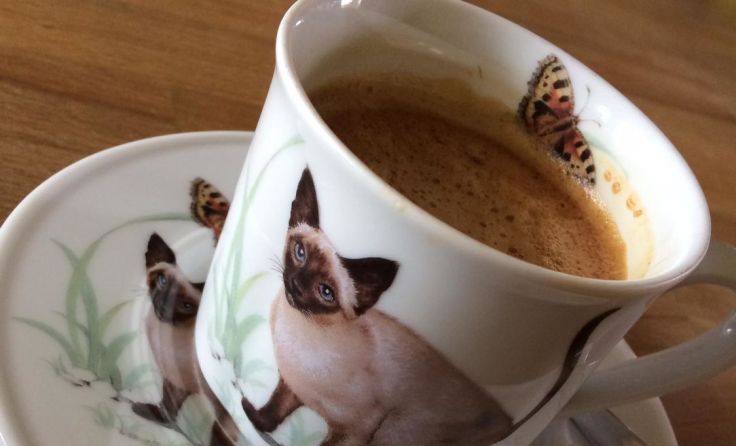 Der erste Kaffee in Freiheit. Foto: Lichtenauer
