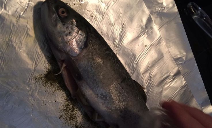 Die Forelle wurde schonend in Alufolie gegart. Foto: Lichtenauer