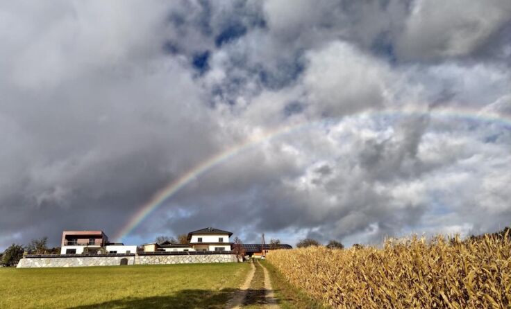  (Foto: Findling)