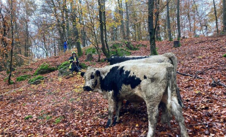 (Foto: Max Kastner)