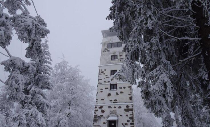 Die Gisela-Warte im tiefverschneiten Wald. (Foto: Hamedinger)