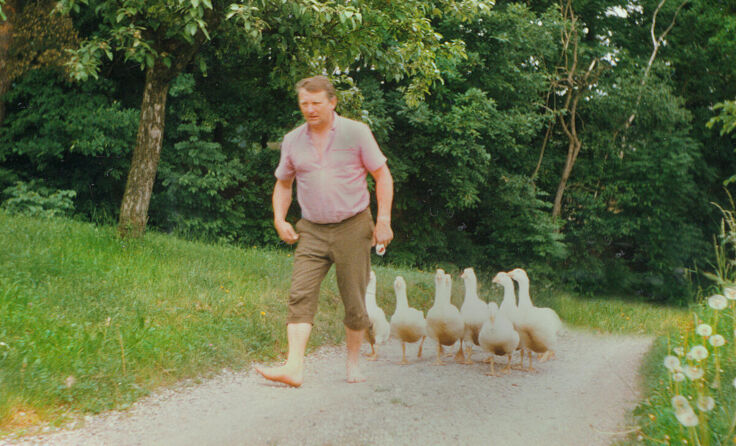  (Foto: Wagner)