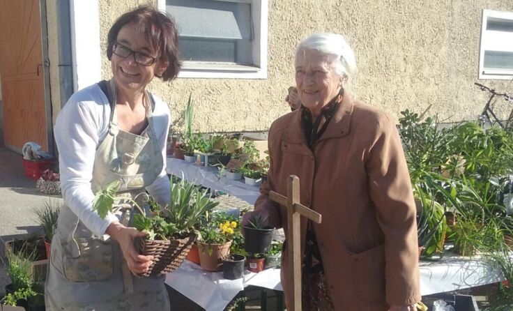 Am 24. April wechseln Pflanzen den Besitzer für einen guten Zweck (Foto: Plakolm)