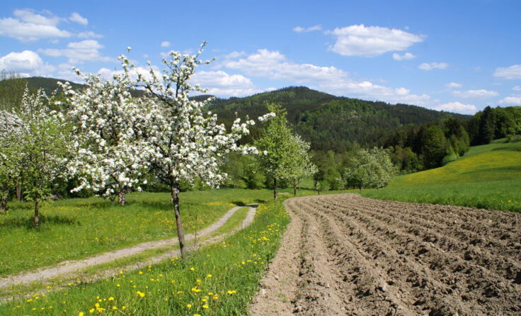 Haibach punktet auch mit schöner Natur. (Foto: Josef Reingruber)