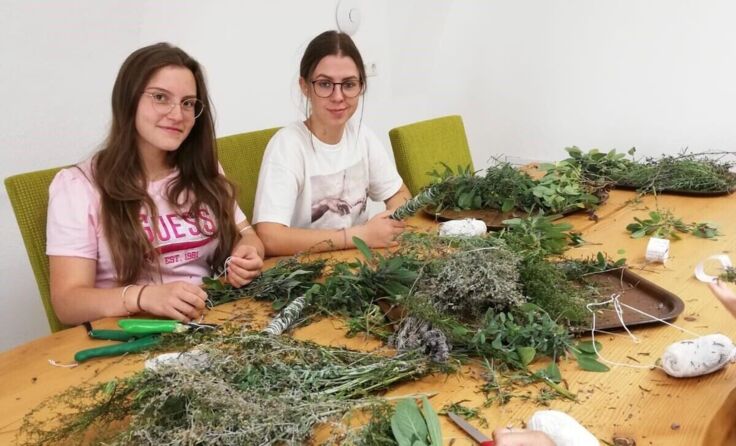 Die Schülerinnen beim Trocknen der Kräuter. (Foto: FS Bergheim)