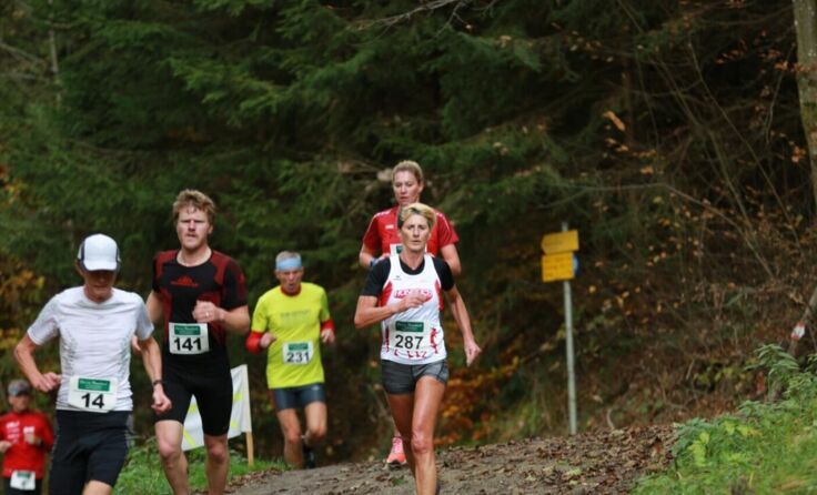 Laufend geht es durch idyllische das Pesenbachtal. (Foto: Sportunion Feldkirchen)