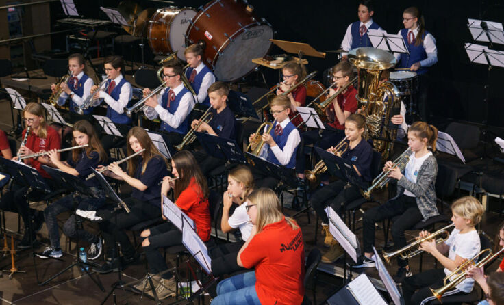 Das Jugendorchester „St. Fegola". (Foto: musik feldkirchendonau)