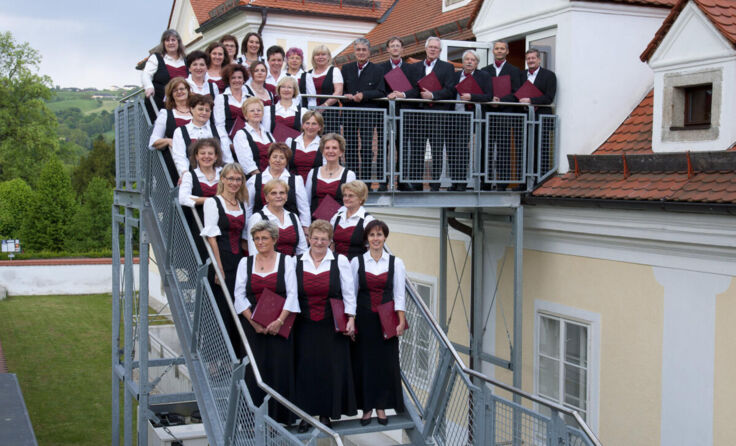 Der Singkreis Schönering (Foto: : kreis Schönering)