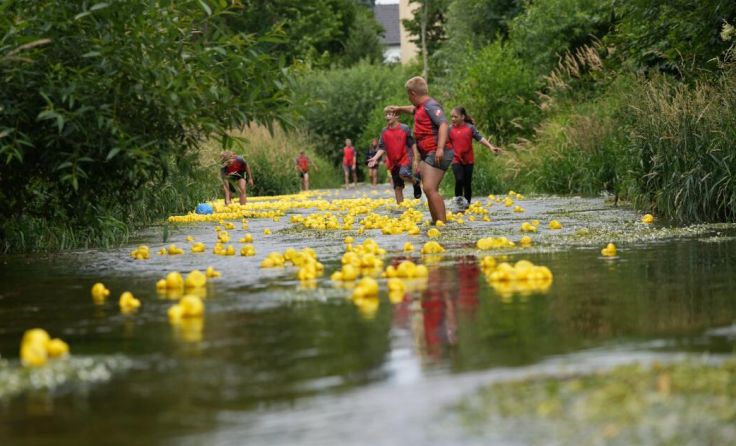 Die Enten lieferten sich ein hartes Rennen (Foto: Binder-Bild,)