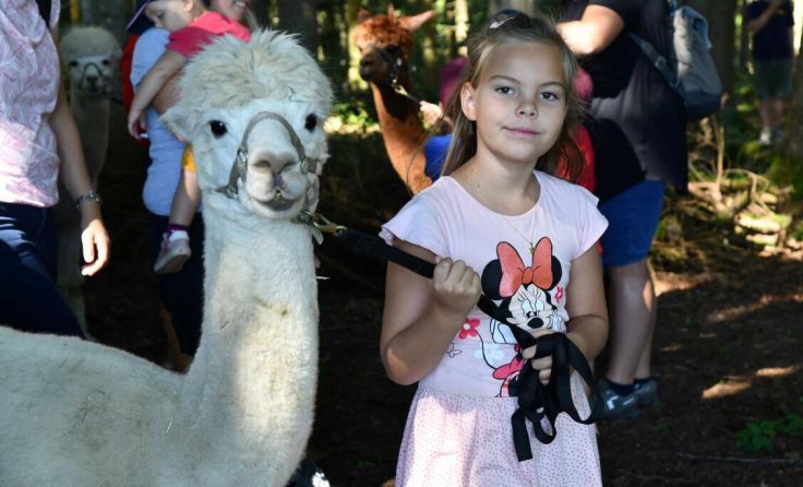 Die Kinder genossen die Zeit mit den Alpakas. (Foto: Ganglberger)