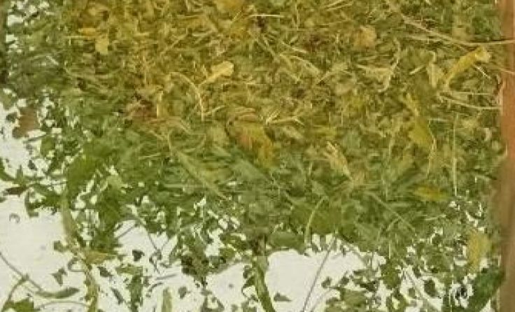 Fotos: LPD NÖ