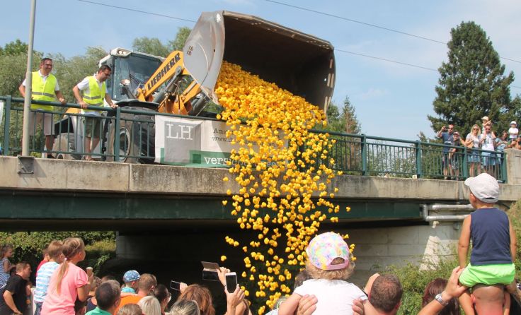 Ein Schaufelbagger beförderte die 4.000 Rennenten in den Mühlbach. Fotos: Thomas Lettner