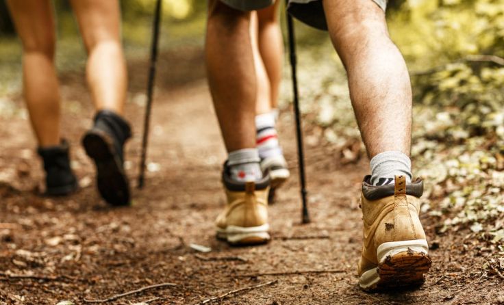Das Nordic Walking findet bei jeder Witterung statt. Symbolfoto: Solis Images/Shutterstock.com