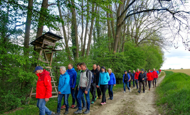 Zwei verschiedene Routen stehen zur Auswahl. (Foto: ÖVP Ernsthofen)