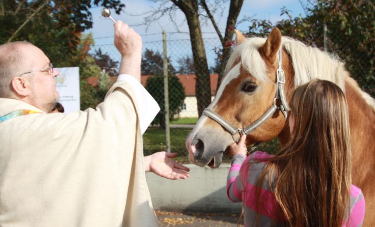 Vom Pferd bis zum Stubentiger werden alle Tiere gesegnet. Foto: MM