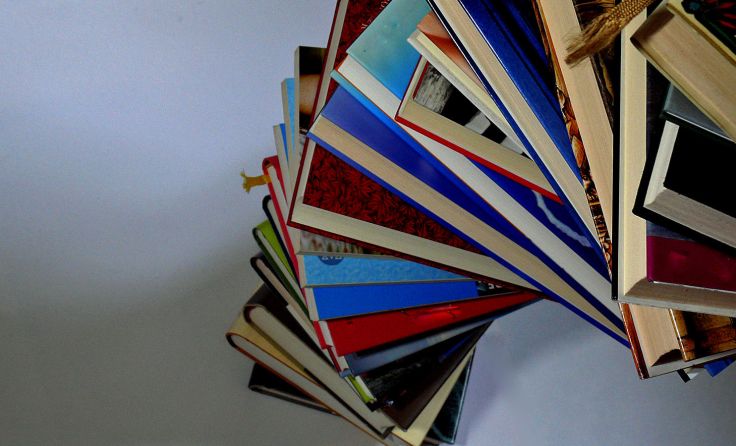Es werden unter anderem Bücher günstig verkauft. Foto: Lupo/pixelio.de