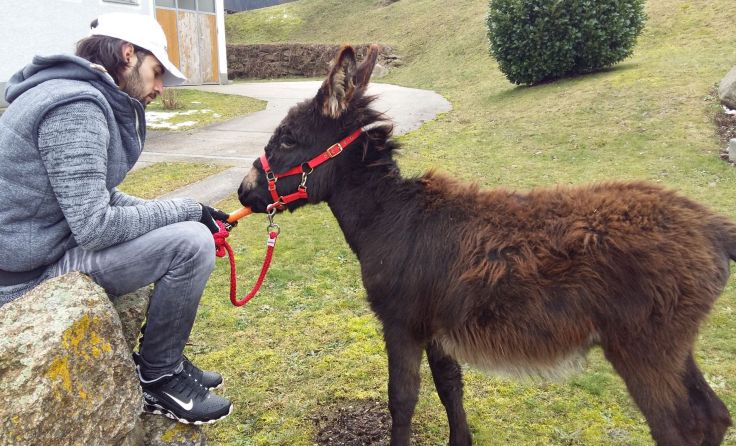 Resi beim Training für den Palmsonntag mit Hamad Foto: fz