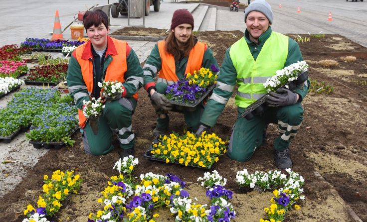 Schon vergangene Woche haben die Frühjahrspflanzungen auf dem Hauptplatz begonnen. Foto: Stadt Linz