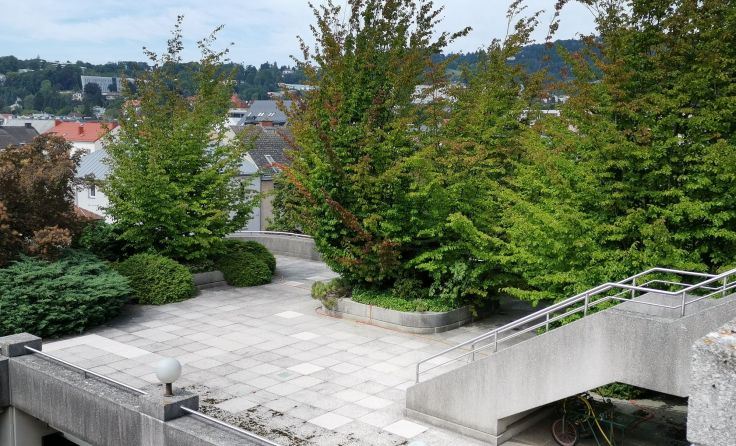 Die Grünanlagen am Dach des Neuen RathausFoto: Büro Vizebürgermeister Hein