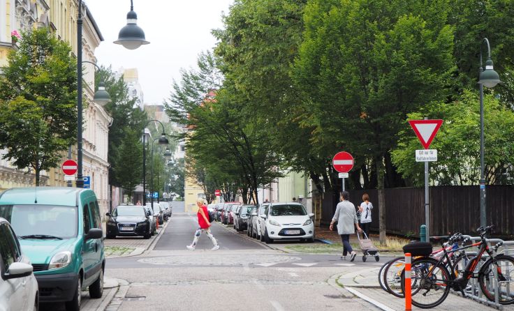 Mit dem neuen Baum-Masterplan soll Linz grüner werden. Foto: Tips/Stadler