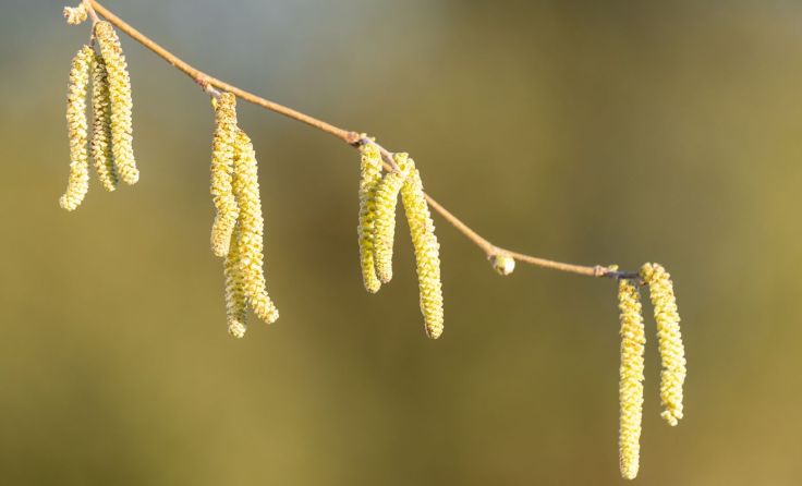 (Foto: tom-meaker/Shutterstock.com)