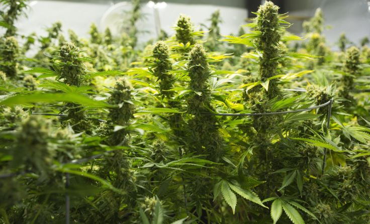  (Foto: Artazum/Shutterstock.com)