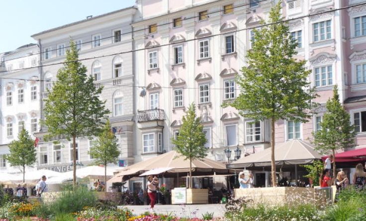 Auch die kleinen Bäume wirken sich positiv auf das Klima am Hauptplatz aus. (Foto: Tips/Stadler)