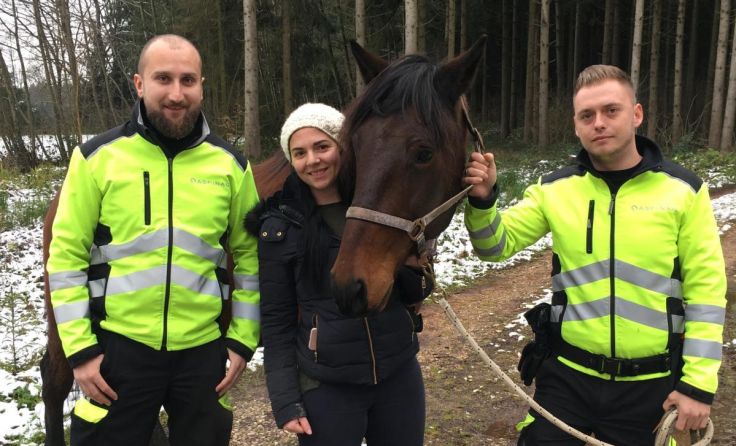Pferd "Tobi" wurde bei Allhamming gerettet. (Foto: Asfinag)