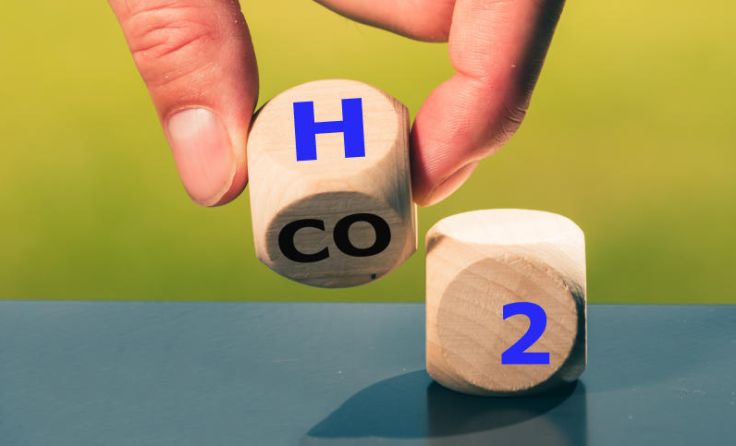 Symbolfoto (Foto: FrankHH/Shutterstock.com)