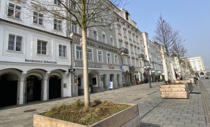 Die Tröge der Linden sind wieder sauber. (Foto: Stadt Linz)