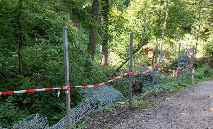 Die Pferdebahnpromenade ist wieder freigegeben. (Foto: Tips/Schlatte)