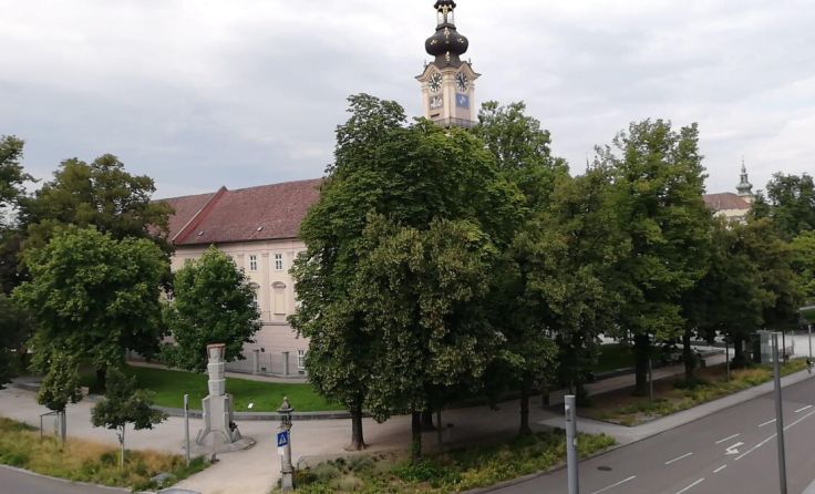 Große Bäume wie vor dem Landhaus helfen, die Hitze abzumildern. (Foto: Tips/Brandstätter)