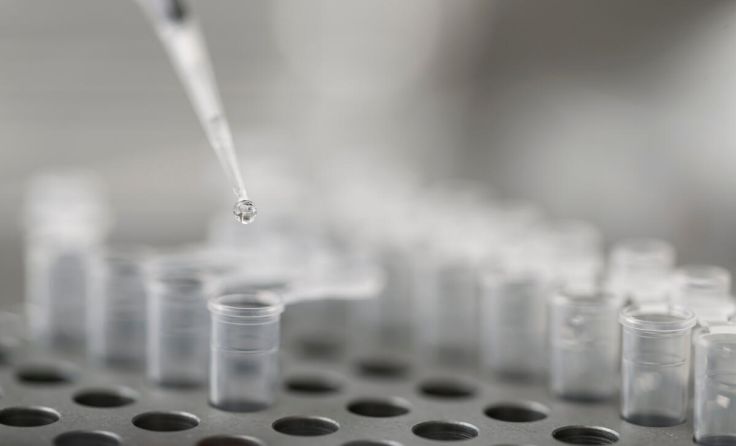 Symbolfoto (Foto: Anton Kositcyn/Shutterstock.com)