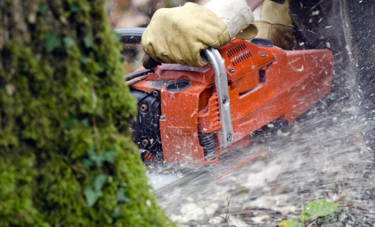 Symbolfoto (Foto: danymages/Shutterstock.com)
