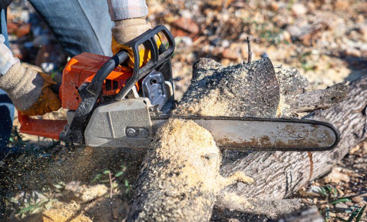 Symbolfoto (Foto: sondem/Shutterstock.com)